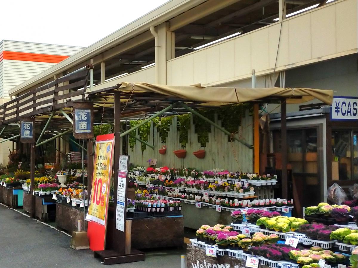 マーケットピア ホームプラザナフコ 新市店