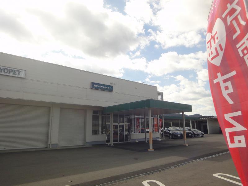 マーケットピア 神戸トヨペット氷上店 丹波市柏原町田路