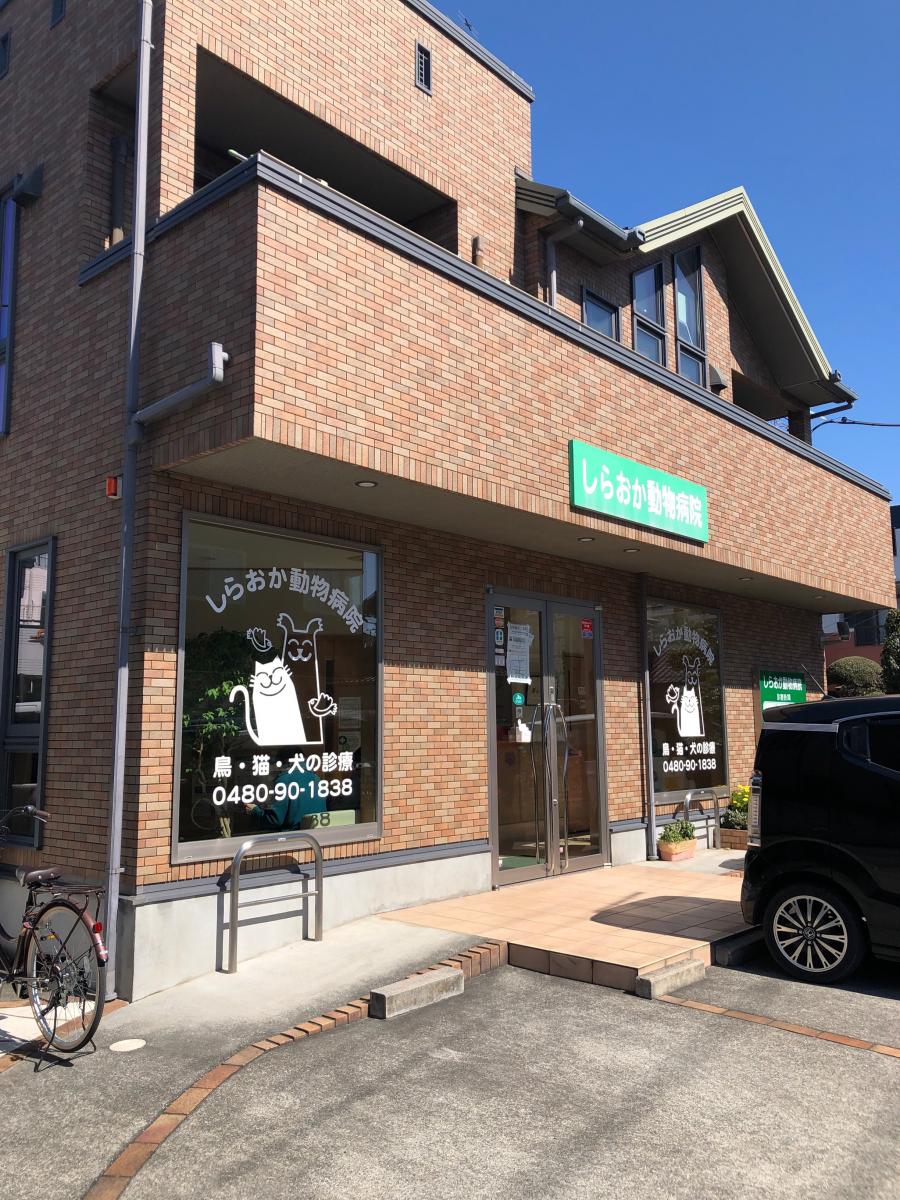 クックドア 周辺施設写真 庄や 白岡駅店