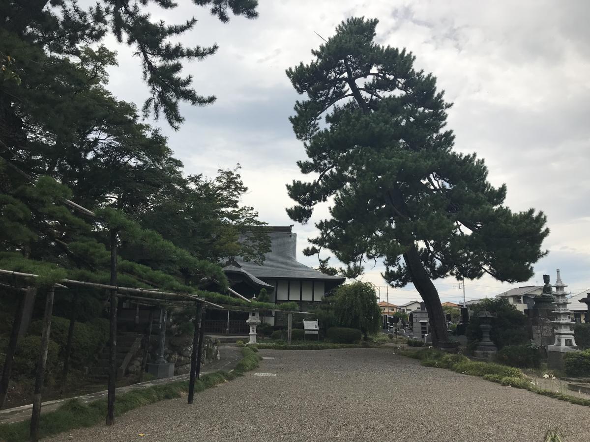 ホームメイト シニア 井野の家 群馬県高崎市のグループホーム