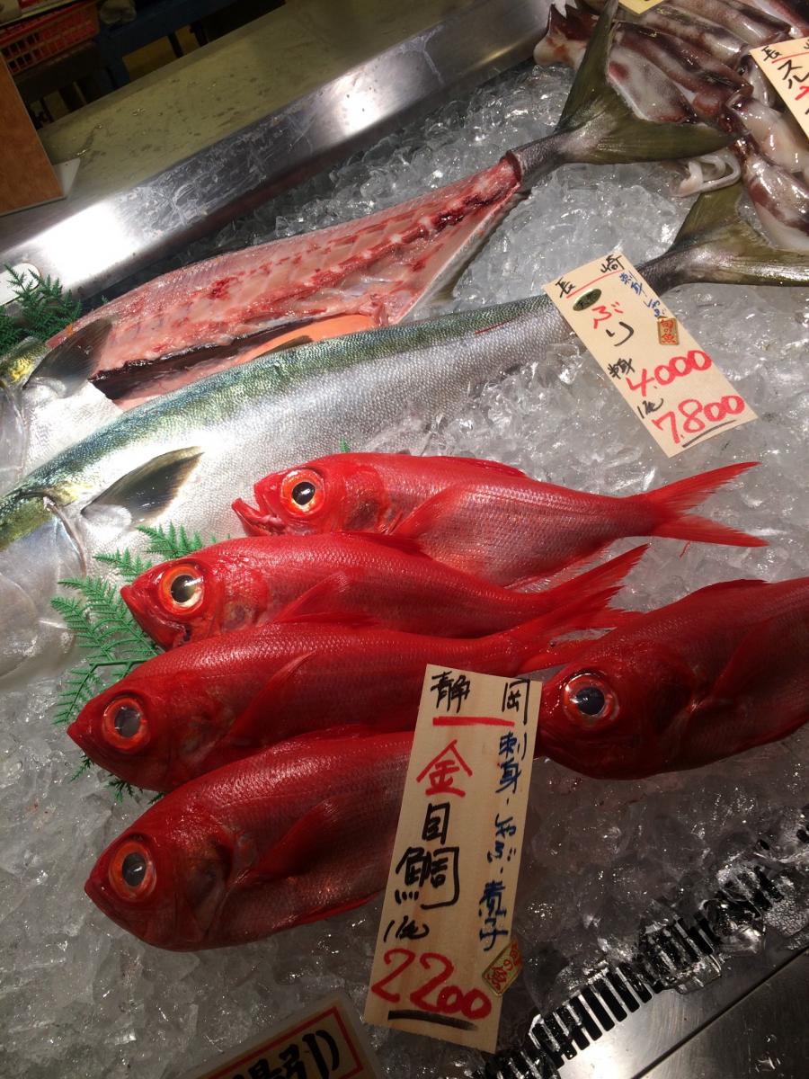 旅探 たびたん 魚太郎 知多郡美浜町豊丘