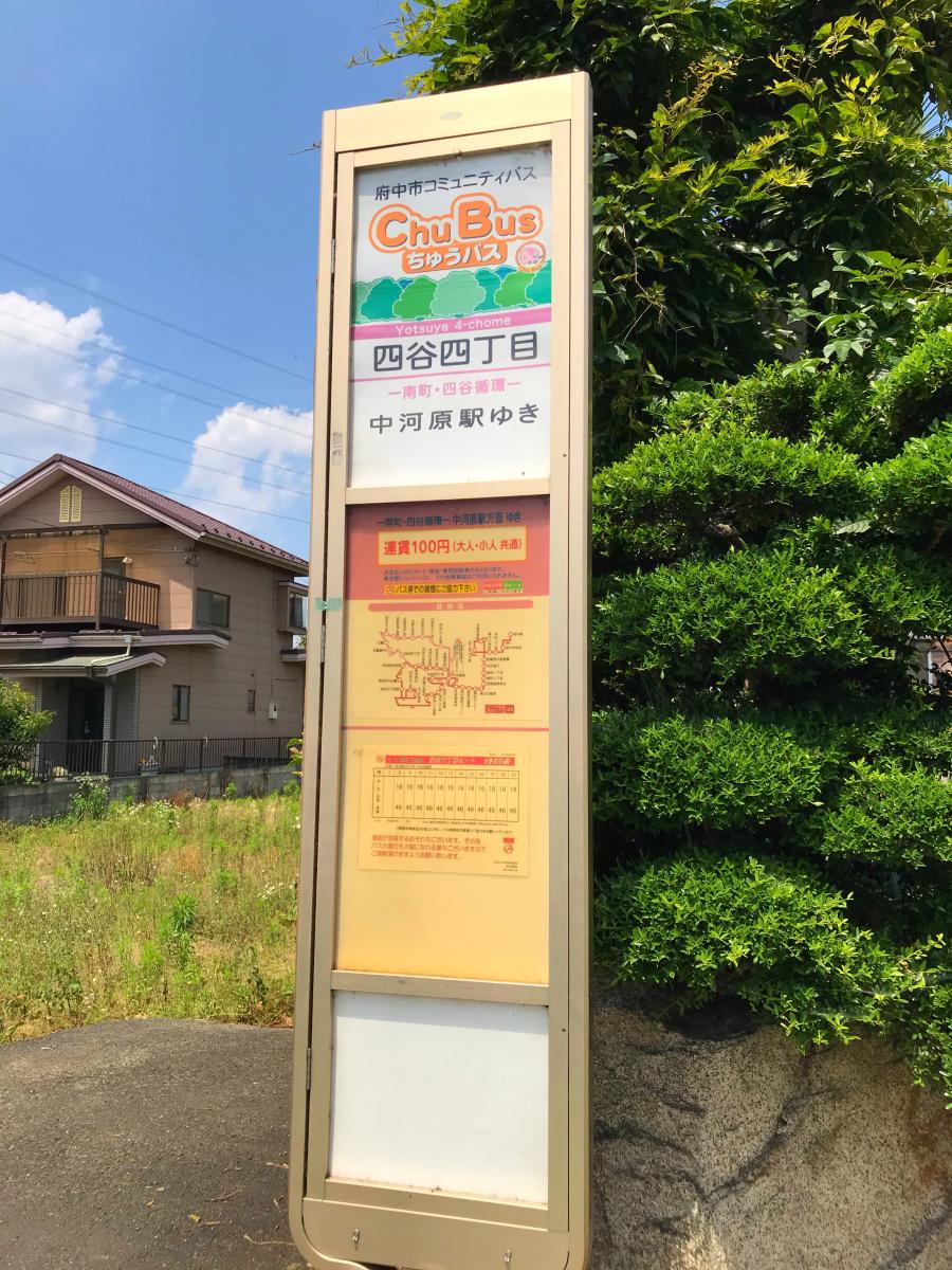 マーケットピア 周辺施設の口コミ 写真 動画 ホームセンターコーナン 府中四谷店