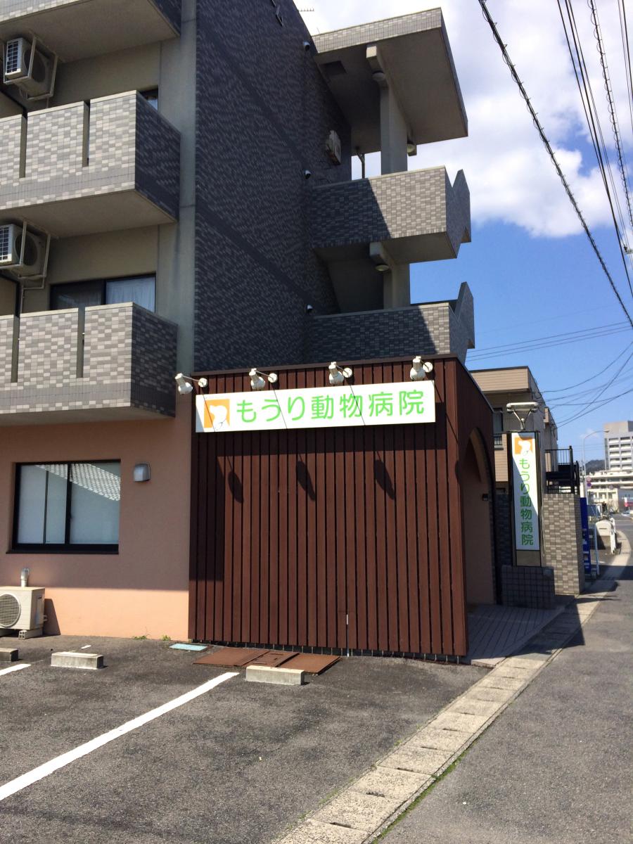 ドッグメディカル もうり動物病院 松江市西川津町