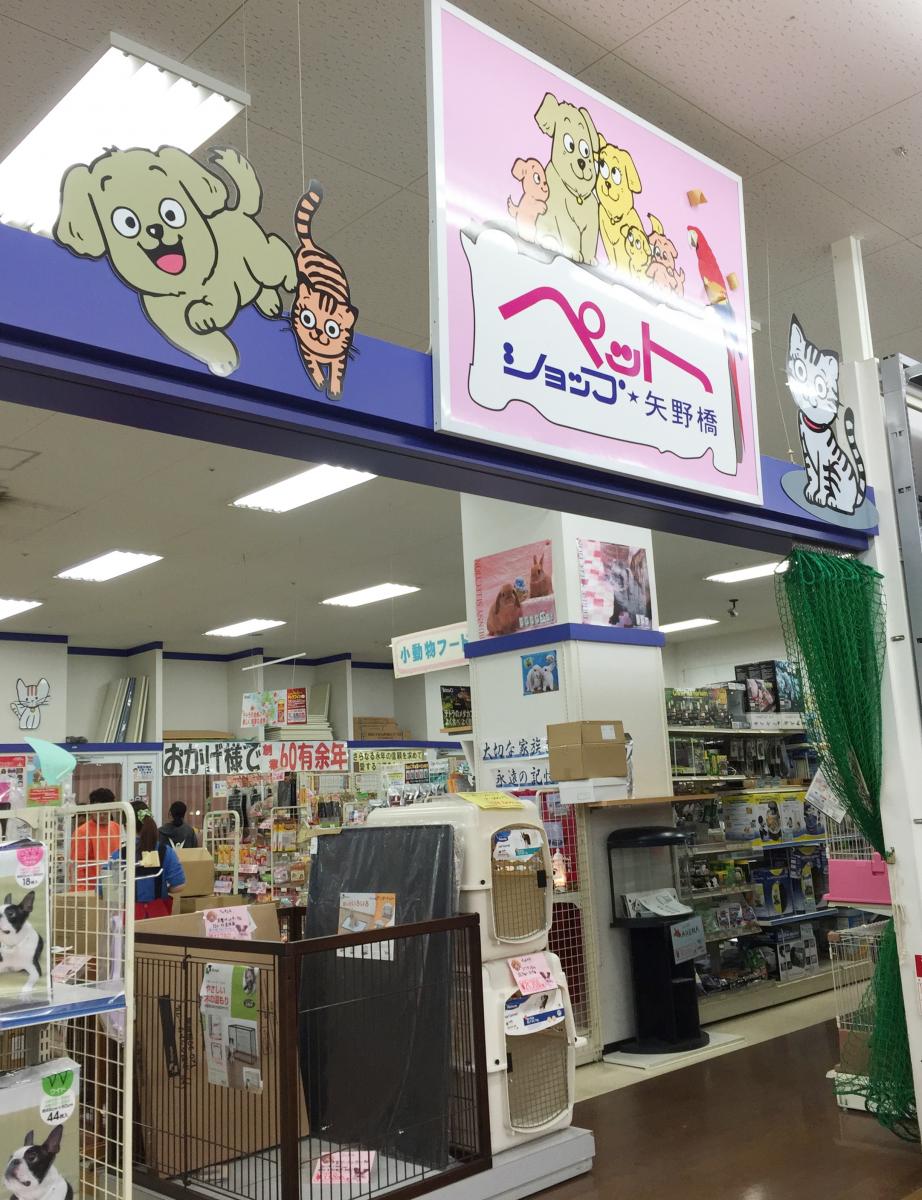 クックドア ミスタードーナツ フジグラン宇部ショップ 山口県宇部市 周辺施設口コミ 写真 動画