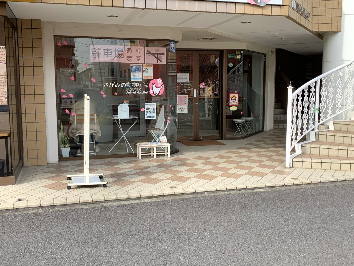 ドッグメディカル さがみの動物病院 座間市さがみ野