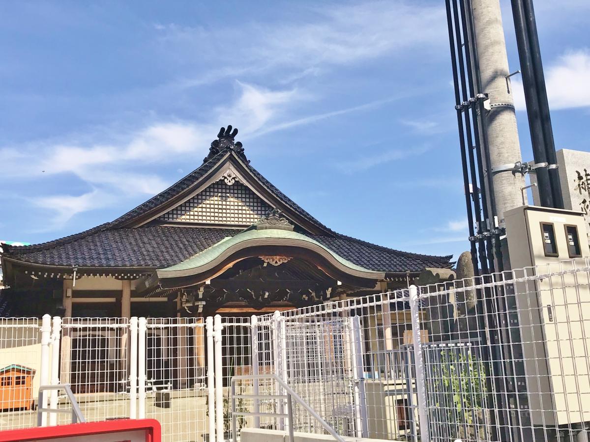 官方 日本国家旅游局 中国 冲绳县寻找高砂鱼 椰子蟹 海蛇汤 冲绳稀少的鱼贝类 到访当地居酒屋 めんそーれ