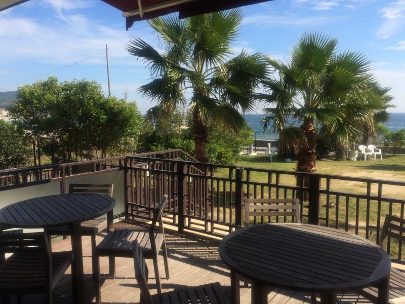 クックドア ラ コーダ ドッグカフェ サロン 愛知県知多郡南知多町 の投稿写真一覧