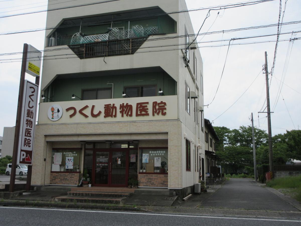 ドッグメディカル つくし動物医院 本巣市三橋
