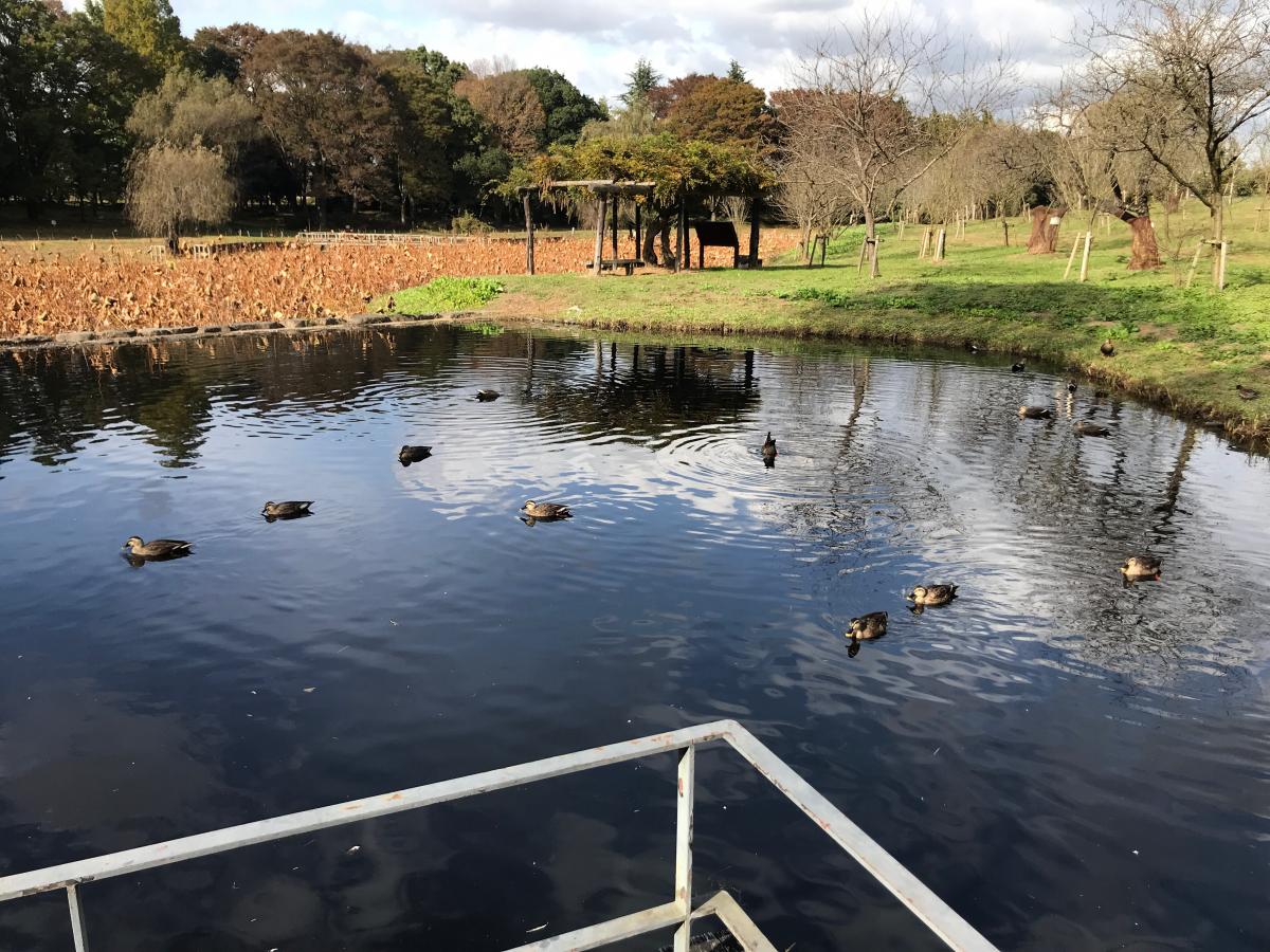 パブリネット 古河総合公園