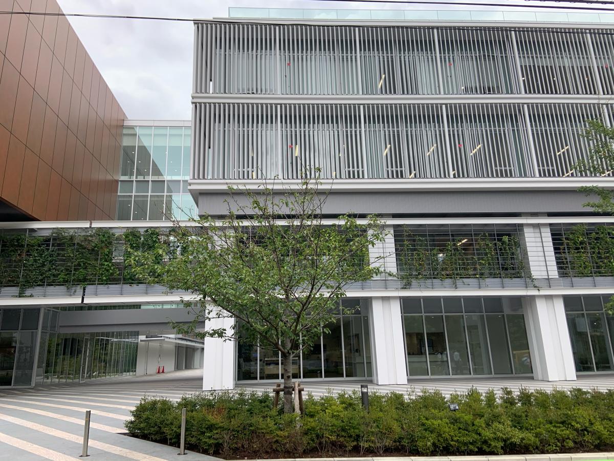 スタディピア 桜美林大学 新宿キャンパス 新宿区 周辺の生活施設情報