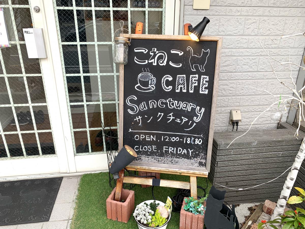 クックドア サンクチュアリカフェ クックドア サンクチュアリカフェ