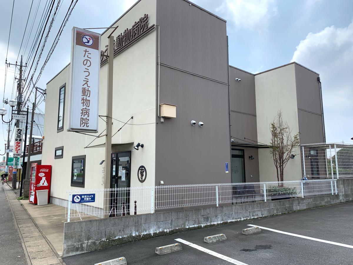 ドッグメディカル たのうえ動物病院 土浦市荒川沖東