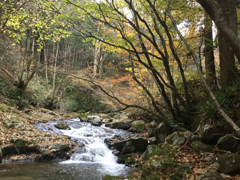 旅探 たびたん 花園渓谷 旅探 たびたん 花園渓谷