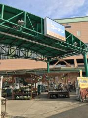 マーケットピア セブンイレブン 江東南砂7丁目店 江東区 の周辺施設写真一覧 1ページ