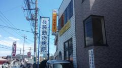 ドッグメディカル サカイ動物病院 さいたま市見沼区南中野