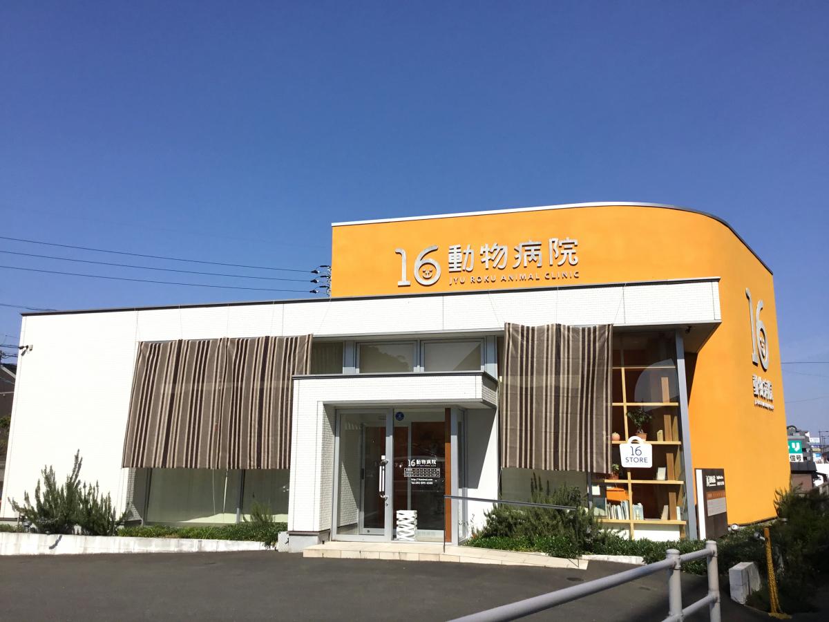 ドッグメディカル 16動物病院 福岡市西区拾六町