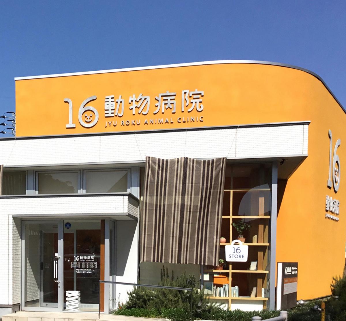 ドッグメディカル 16動物病院 福岡市西区拾六町