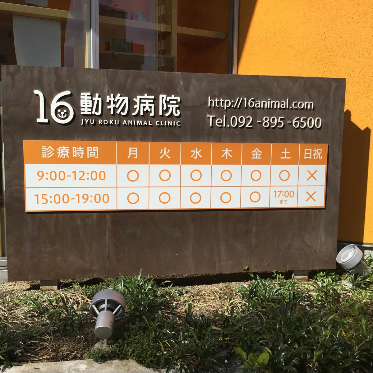 ドッグメディカル 16動物病院
