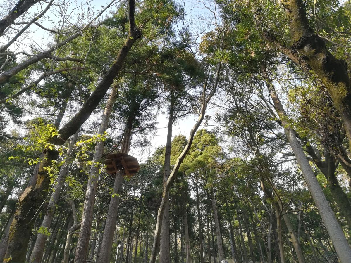 旅探 たびたん フォレストアドベンチャー 箱根のコメント一覧 旅探 たびたん フォレストアドベンチャー 箱根のコメント一覧