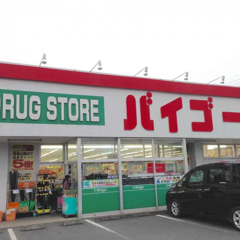 マーケットピア】ビッグ・エー 飯能緑店(飯能市)周辺施設 口コミ