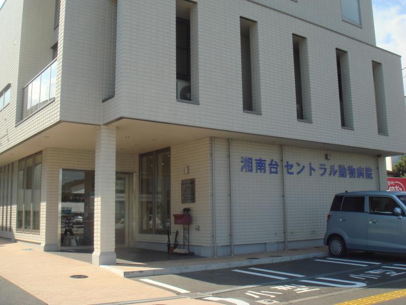 ドッグメディカル 湘南台セントラル動物病院 藤沢市湘南台