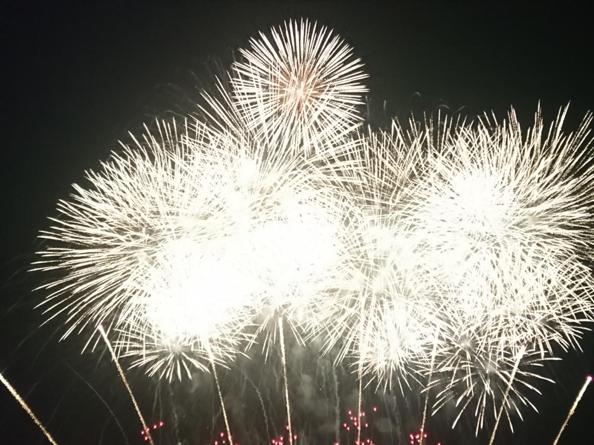 旅探 たびたん 江津湖花火大会 熊本市東区広木町