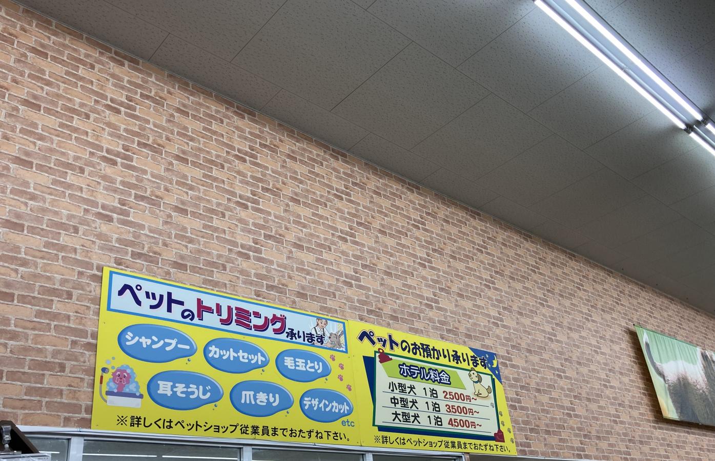 クックドア 唐じ朗 周辺施設写真