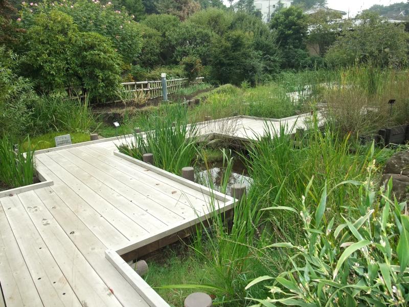 旅探 たびたん 馬場花木園 旅探 たびたん 馬場花木園