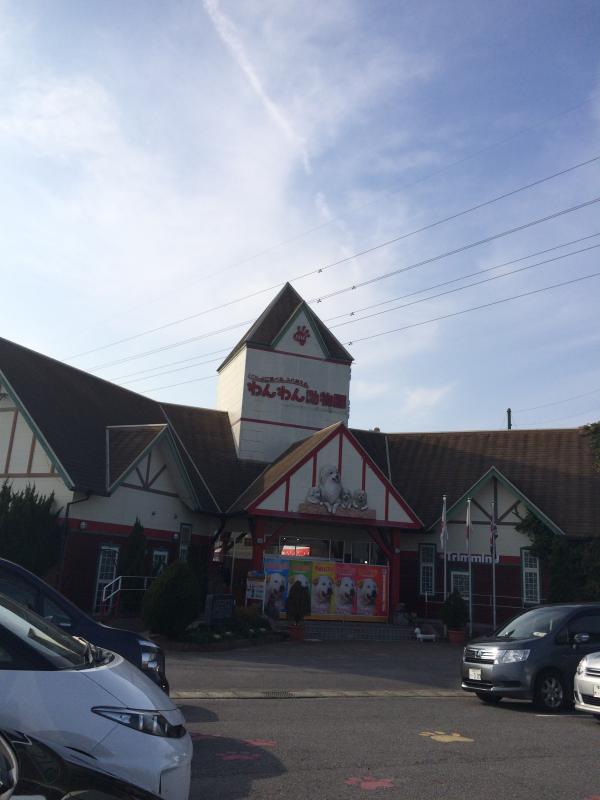 旅探 たびたん ｉｐｃわんわん動物園のコメント一覧 3ページ