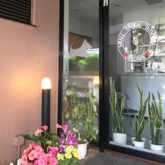 ドッグメディカル オリオン動物病院 調布市仙川町