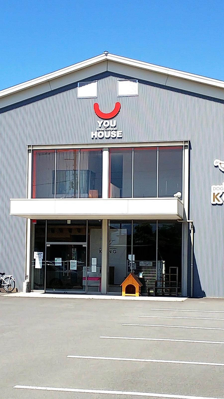 クックドア ドッグラン カフェテリア コング 愛媛県