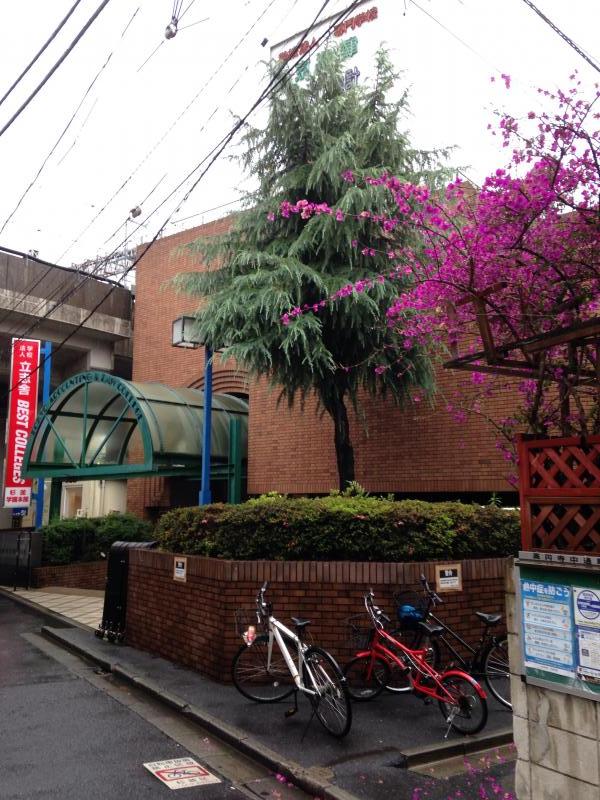 スタディピア 東京法律公務員専門学校杉並校 杉並区高円寺北