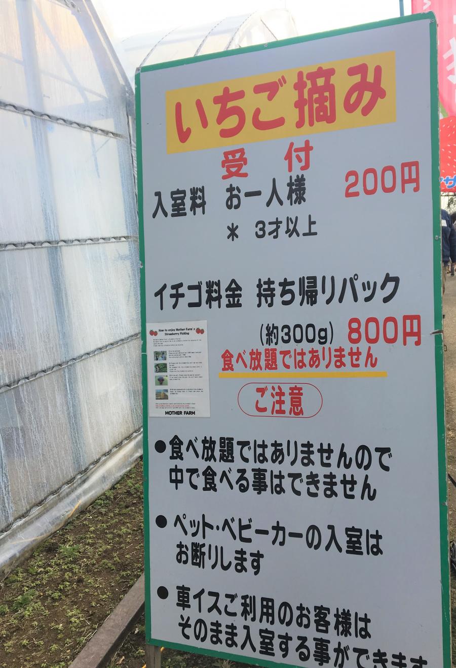 旅探 たびたん マザー牧場 富津市 の投稿ユーザーアルバム 1ページ