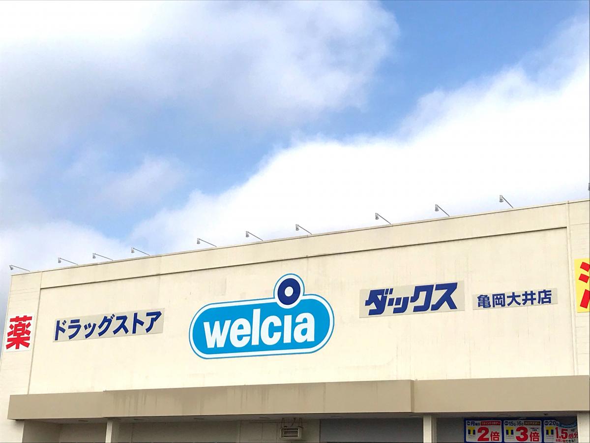 マーケットピア 周辺施設の口コミ 写真 動画 京都ダイハツ販売亀岡店