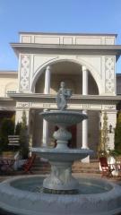 ハッピーペア アルカーサル迎賓館 高崎 高崎市上大類町