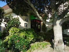 クックドア かぼちゃハウス 千葉県