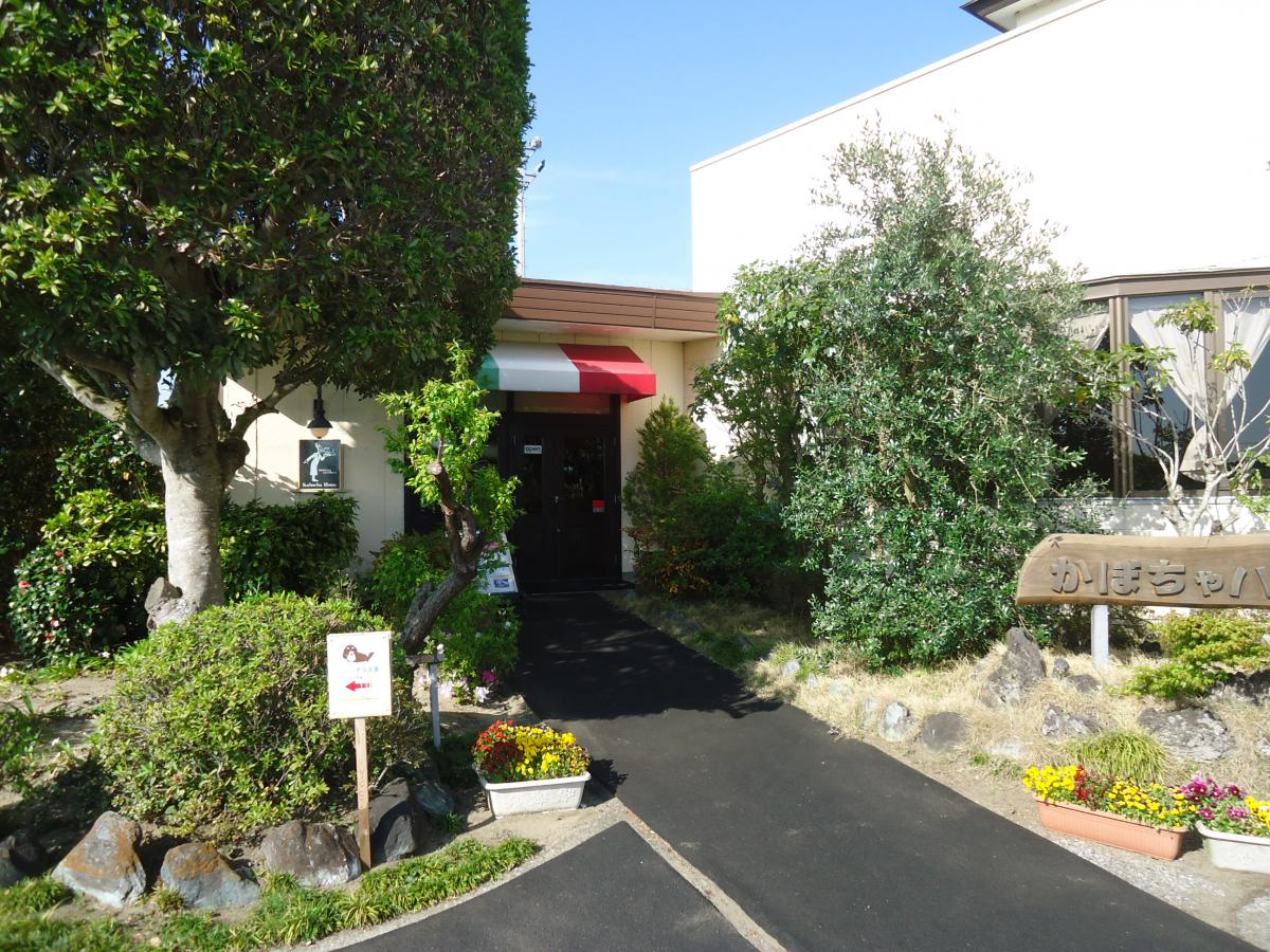 クックドア かぼちゃハウス 千葉県