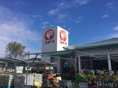 マーケットピア ザ ダイソー イオン津ノ井店 鳥取市若葉台北