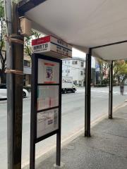 ユキサキナビ 宮竹中学校前 バス停留所 福岡市南区 の周辺施設写真一覧 1ページ