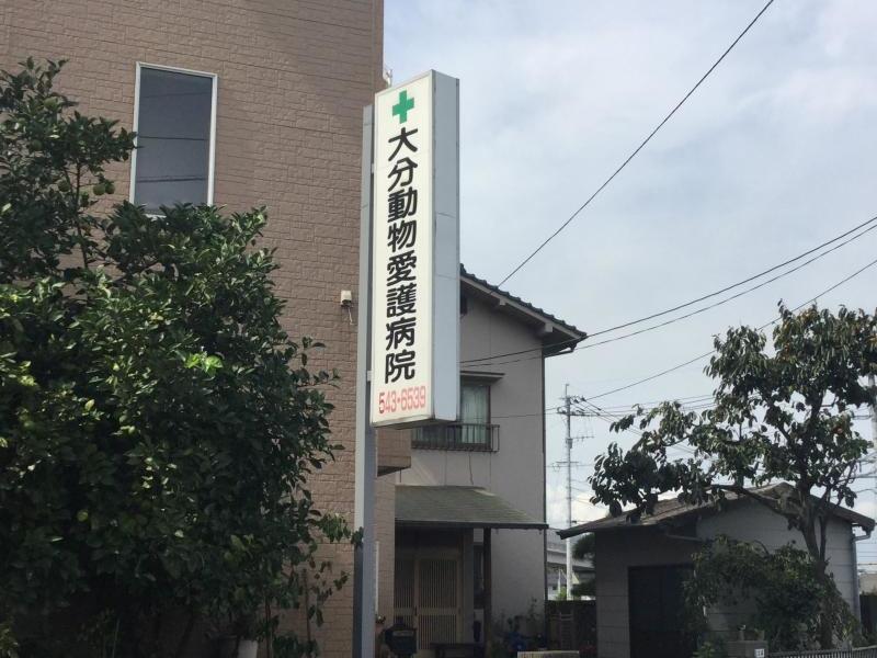 ドッグメディカル 大分動物愛護病院 大分市六坊北町