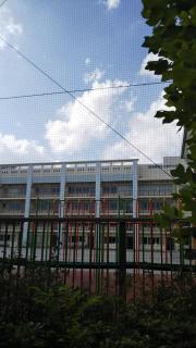 マーケットピア セブンイレブン 葛飾青戸4丁目店 葛飾区 の周辺施設写真一覧 1ページ