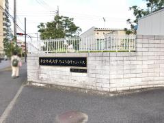 スタディピア 市原市の短大 大学 大学院一覧 ホームメイト