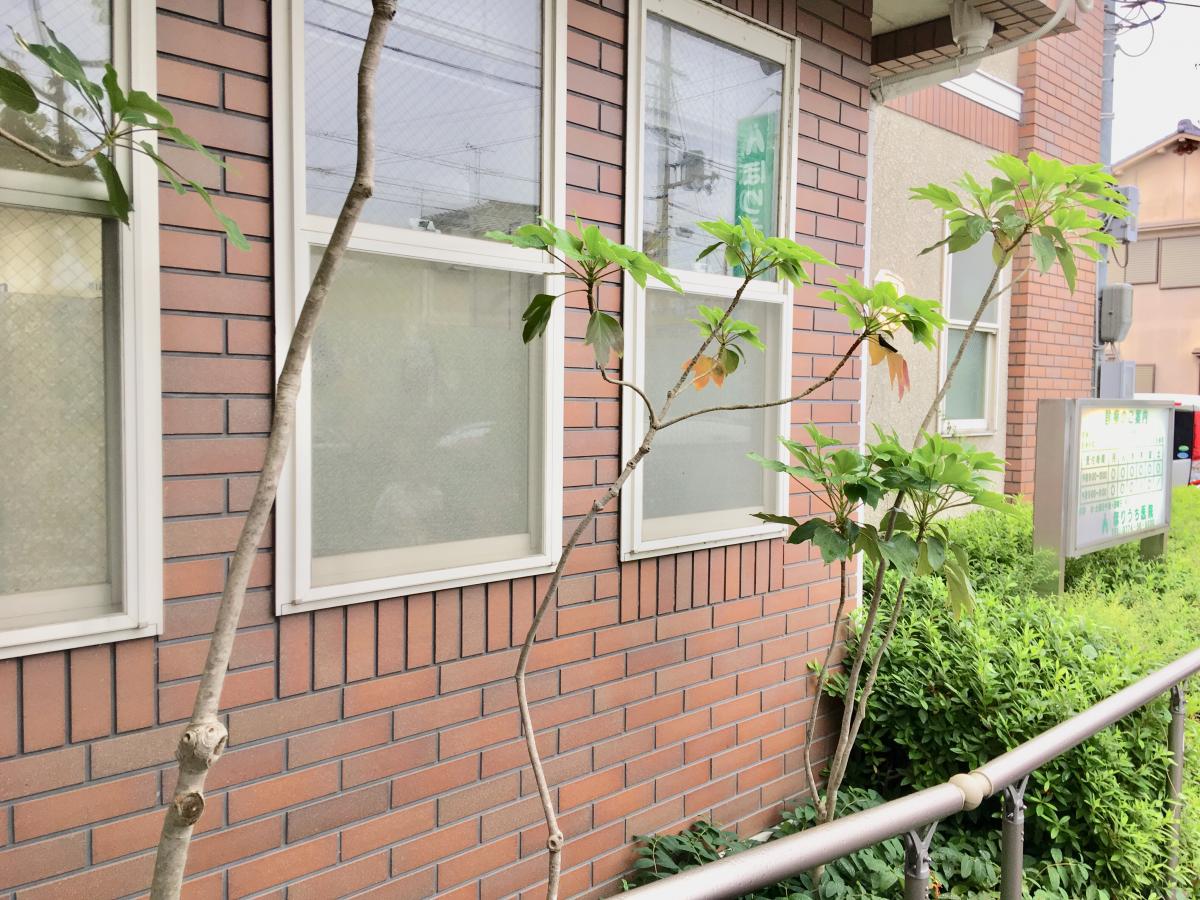 ホームメイト カサベルテ 物件情報 京都府綴喜郡井手町