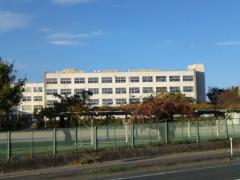 スタディピア 石巻市泉町の学校 塾 幼稚園 専門学校 自動車学校一覧