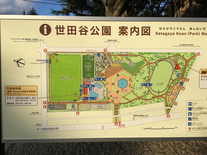 スポランド 世田谷区公園屋外プール