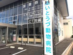 ドッグメディカル 動物病院 ペットクリニック 福岡県 ランキング ドッグメディカル 動物病院 ペットクリニック 福岡県 ランキング