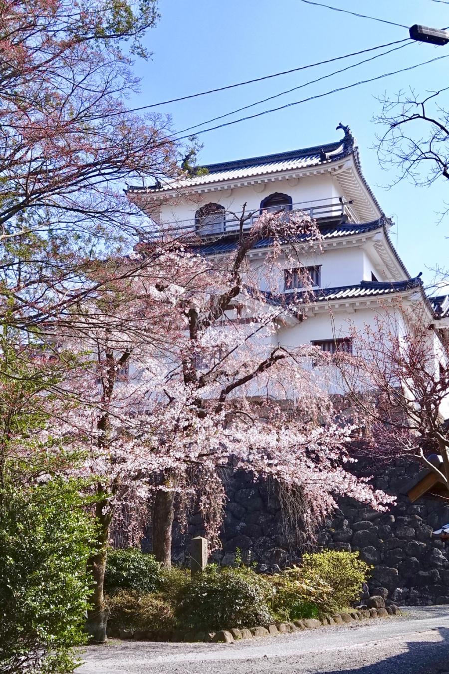 クックドア 幸楽苑 白石店 宮城県白石市 の周辺施設写真一覧