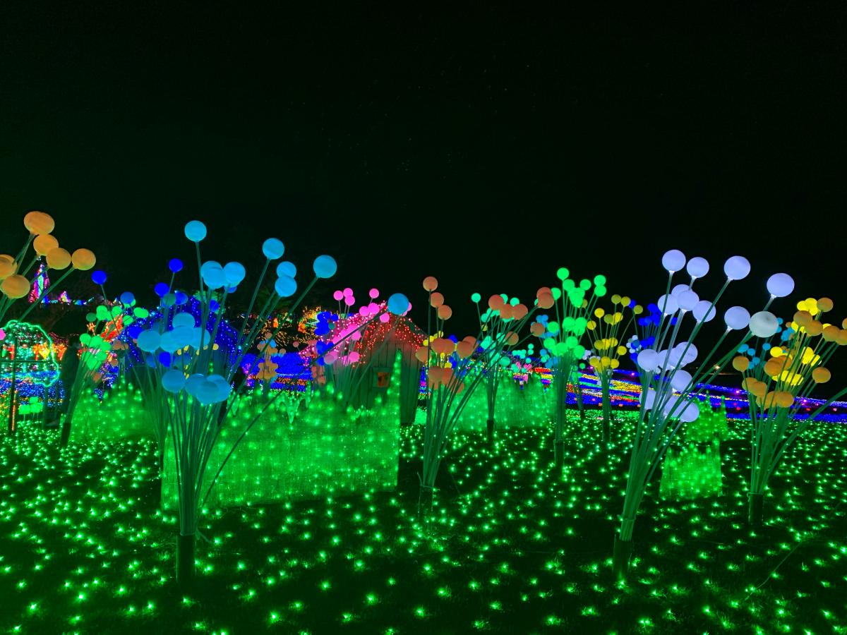 旅探 たびたん 東京ドイツ村 袖ケ浦市永吉