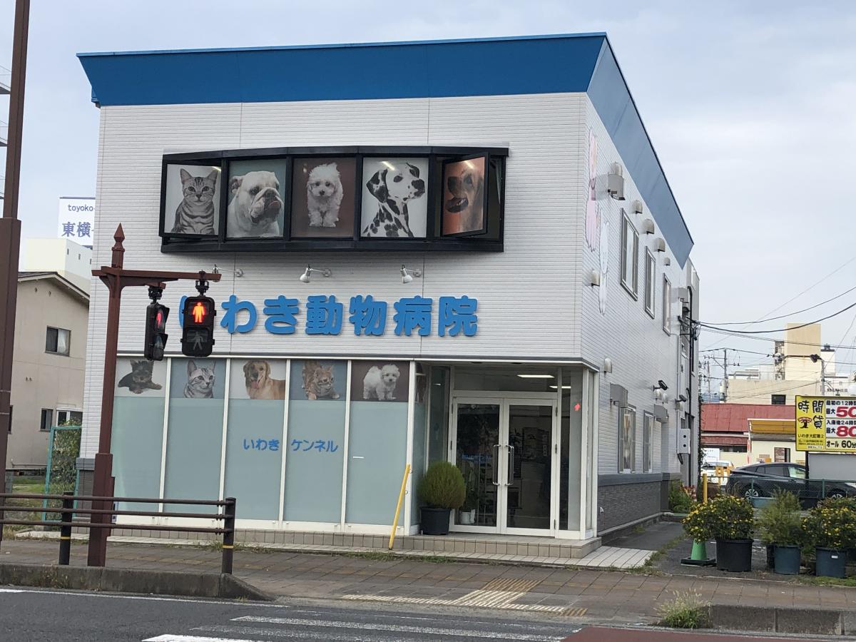 メディアポ テレビユー福島いわき支社 いわき市 周辺施設 口コミ 写真 動画