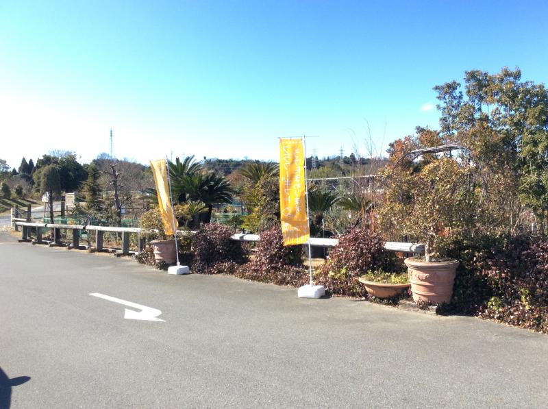 マーケットピア 花ひろば